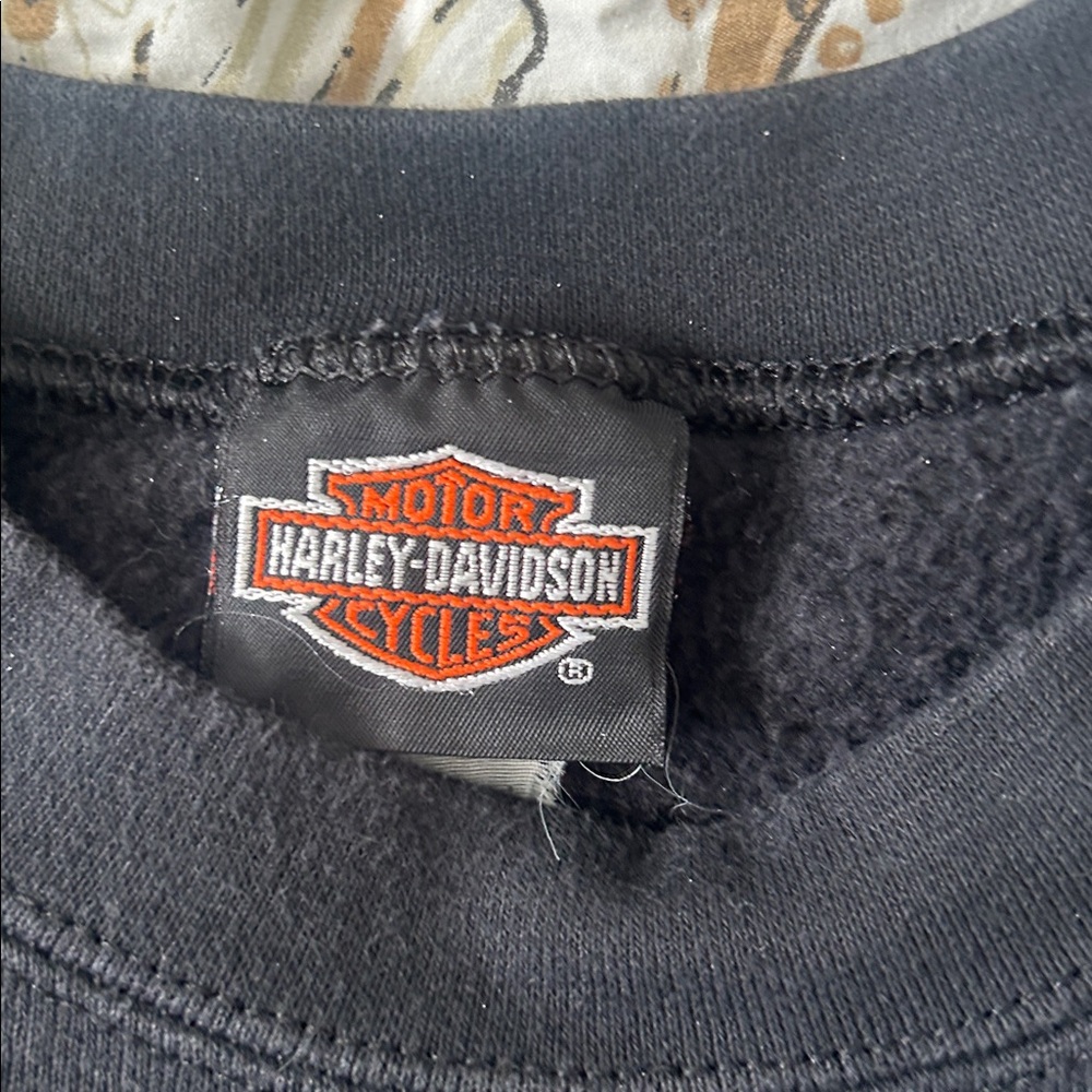 Men’s Harley Davidson sweatshirt size large good condition 
Honesdale,PA - Picture 5 of 11
